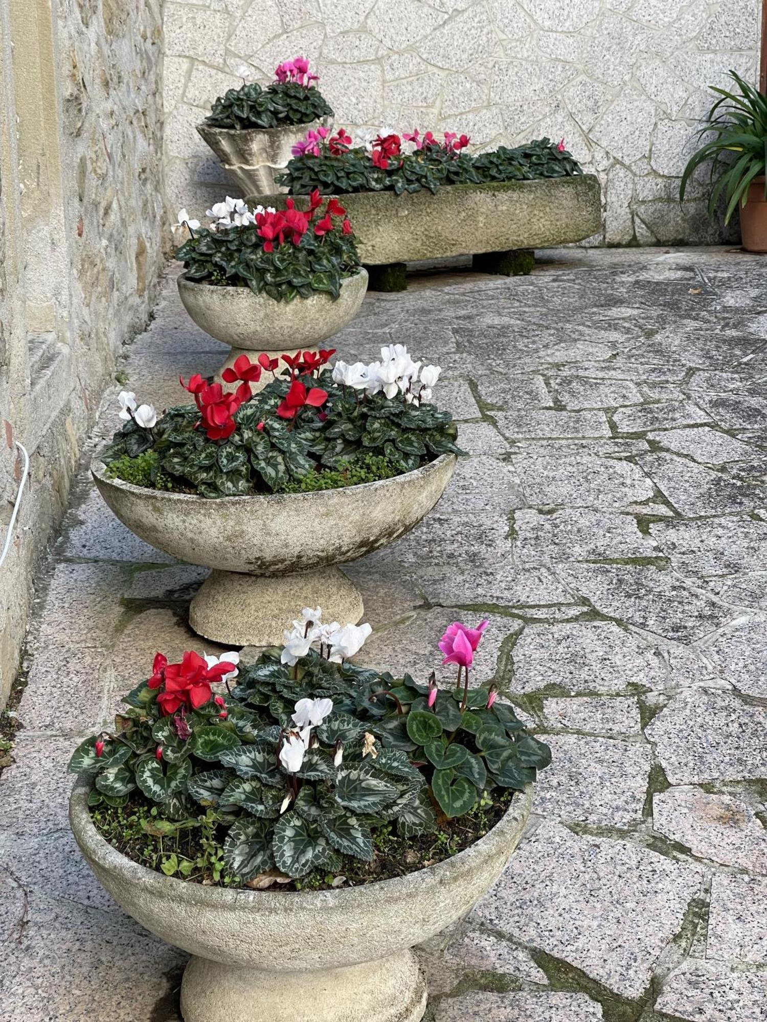 Mazzetti Country House-Vita In Campagna Con Giardino Vimignano-Chiesa Екстер'єр фото