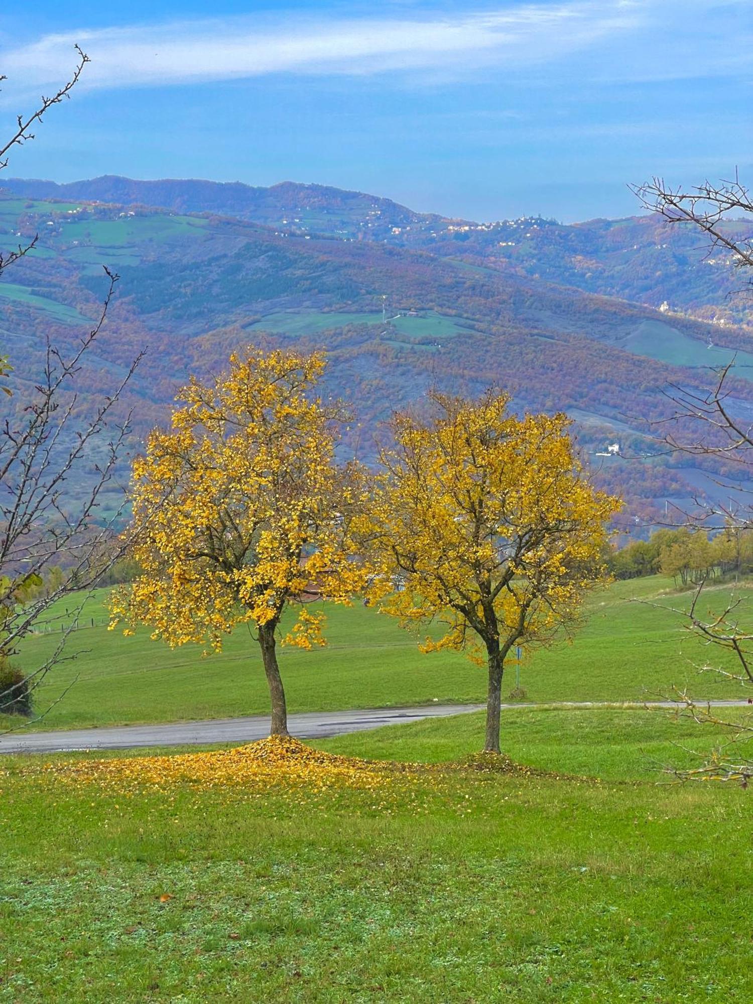 Mazzetti Country House-Vita In Campagna Con Giardino Vimignano-Chiesa Екстер'єр фото