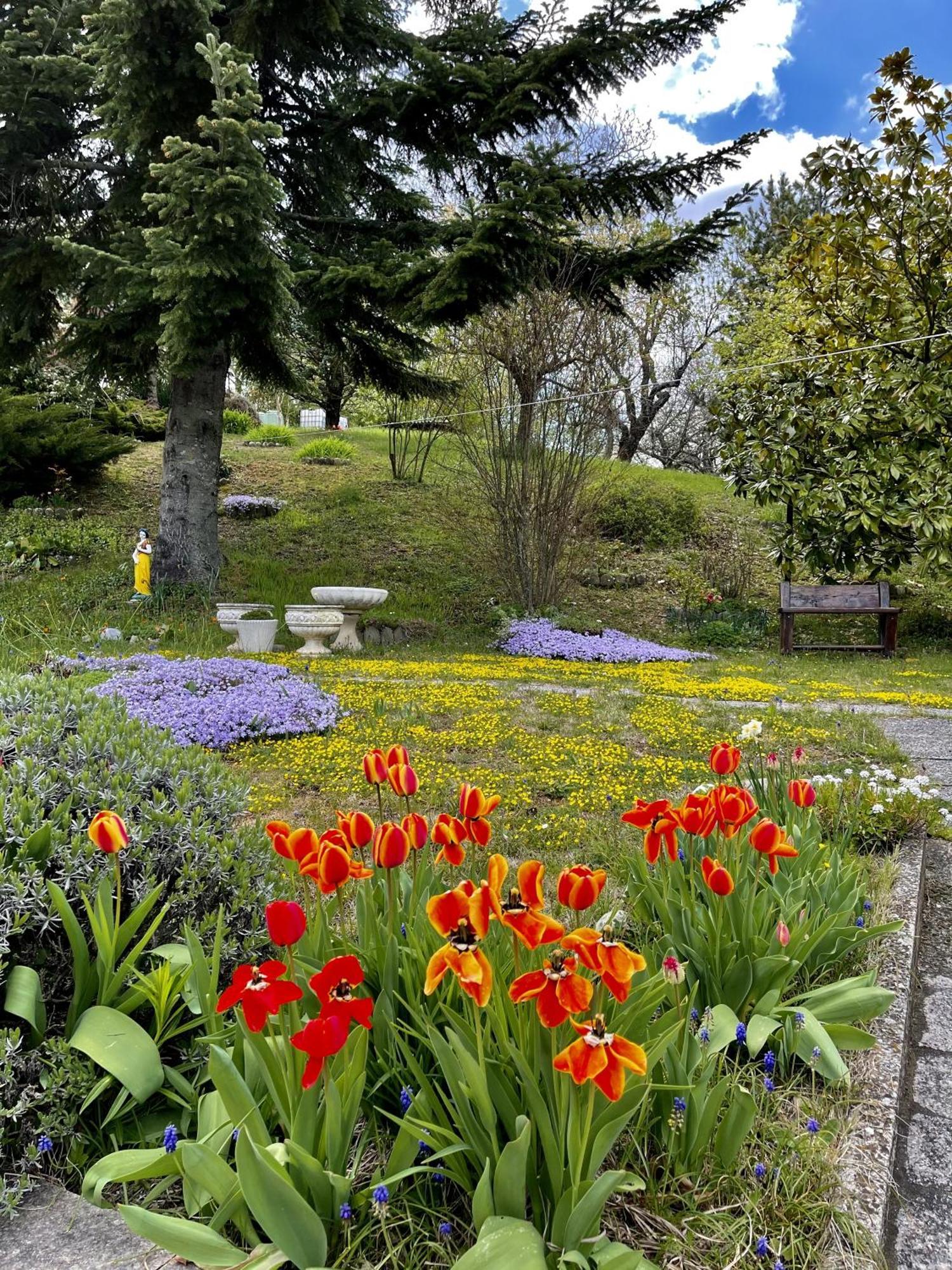 Mazzetti Country House-Vita In Campagna Con Giardino Vimignano-Chiesa Екстер'єр фото