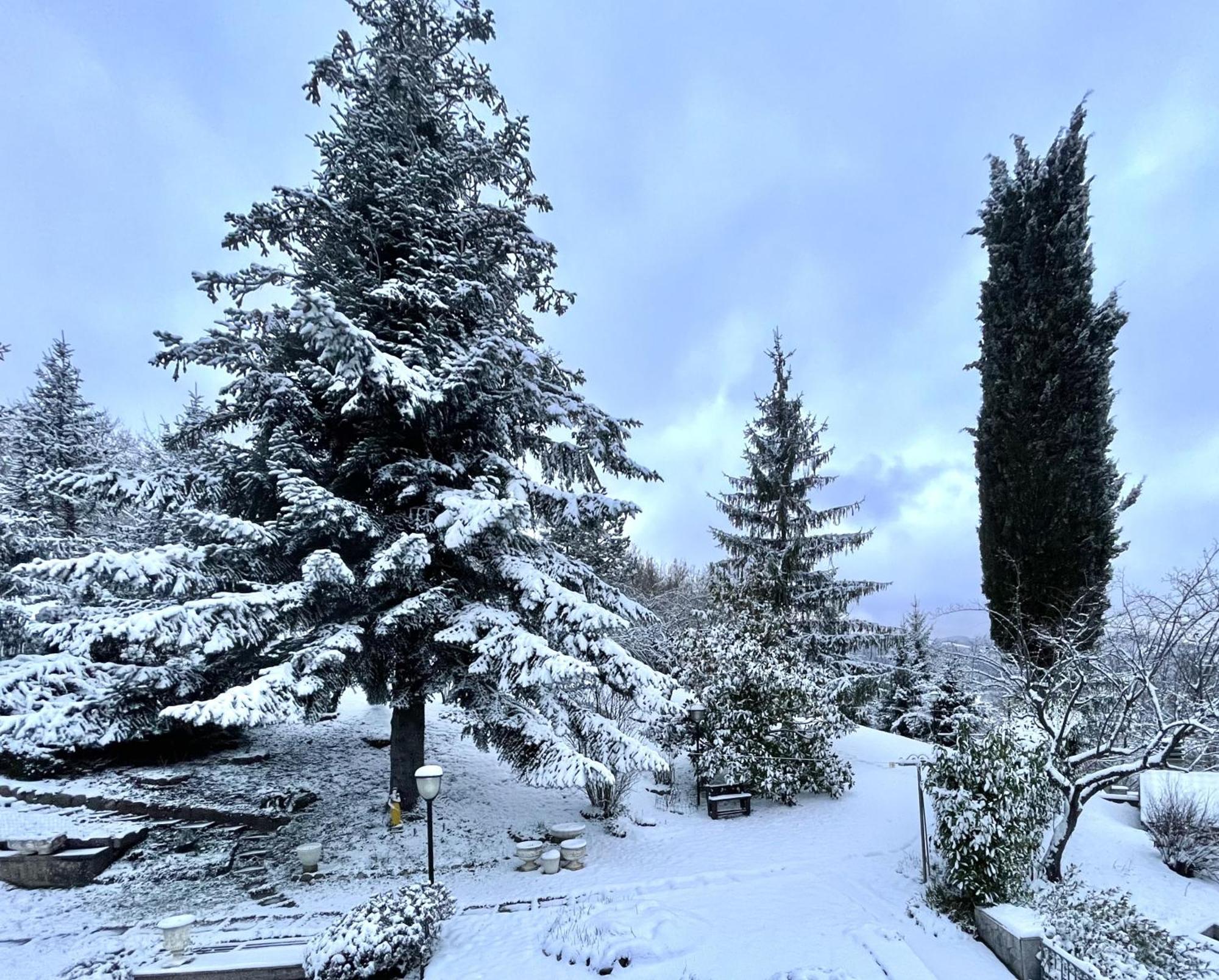 Mazzetti Country House-Vita In Campagna Con Giardino Vimignano-Chiesa Екстер'єр фото