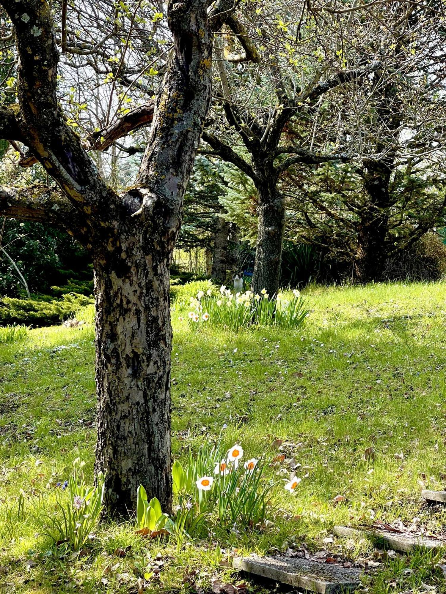 Mazzetti Country House-Vita In Campagna Con Giardino Vimignano-Chiesa Екстер'єр фото