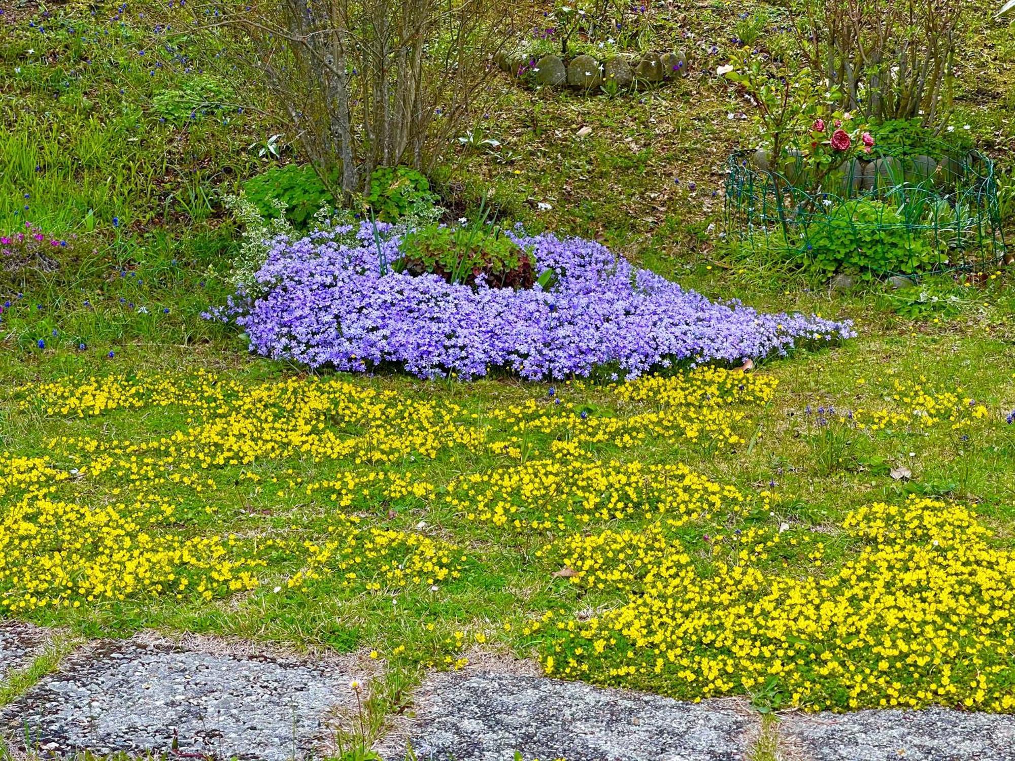 Mazzetti Country House-Vita In Campagna Con Giardino Vimignano-Chiesa Екстер'єр фото