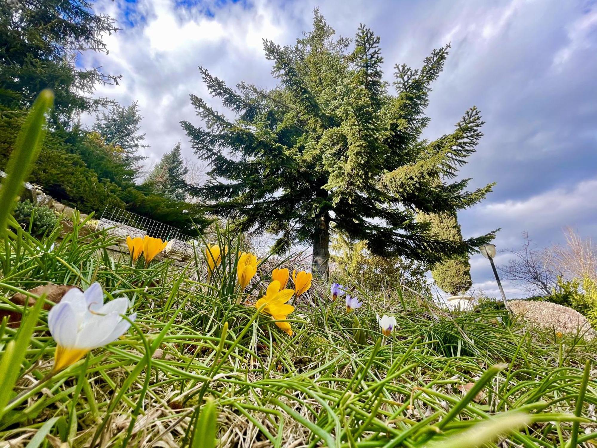 Mazzetti Country House-Vita In Campagna Con Giardino Vimignano-Chiesa Екстер'єр фото