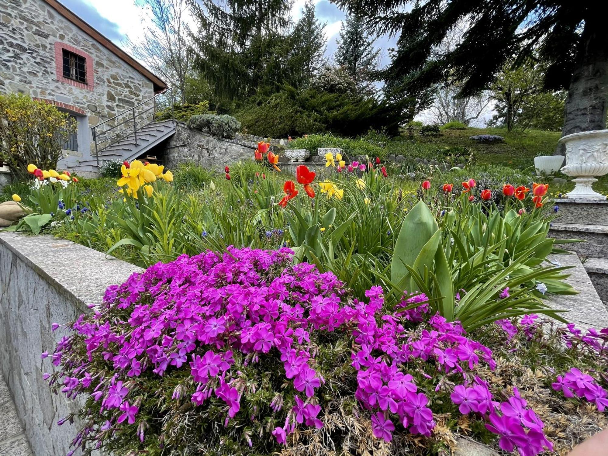 Mazzetti Country House-Vita In Campagna Con Giardino Vimignano-Chiesa Екстер'єр фото