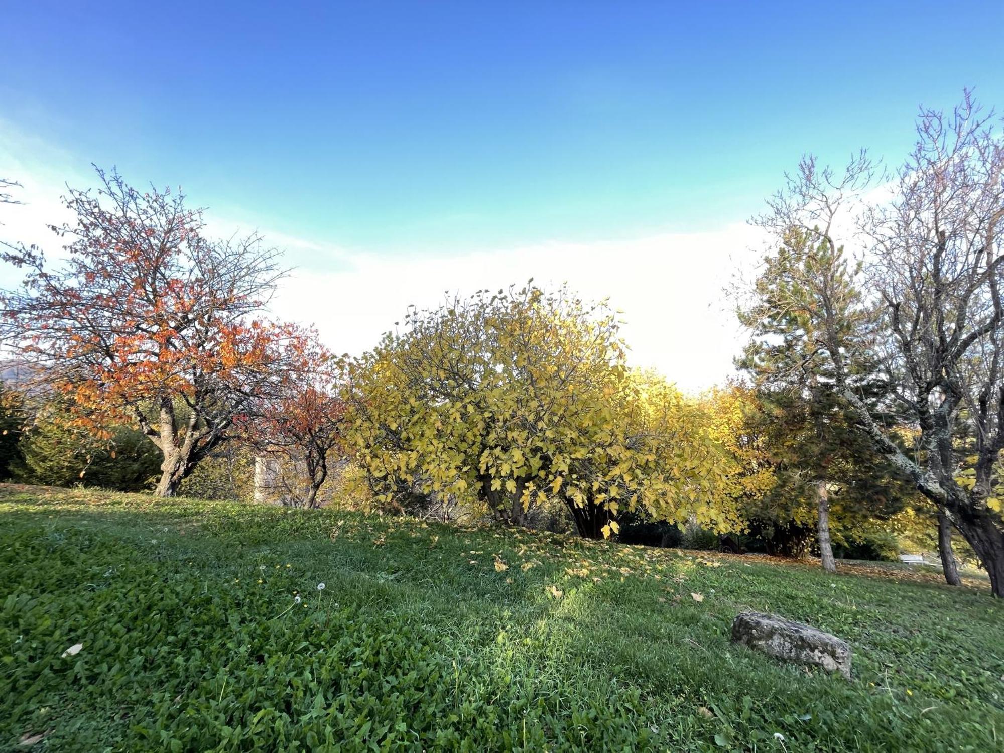 Mazzetti Country House-Vita In Campagna Con Giardino Vimignano-Chiesa Екстер'єр фото